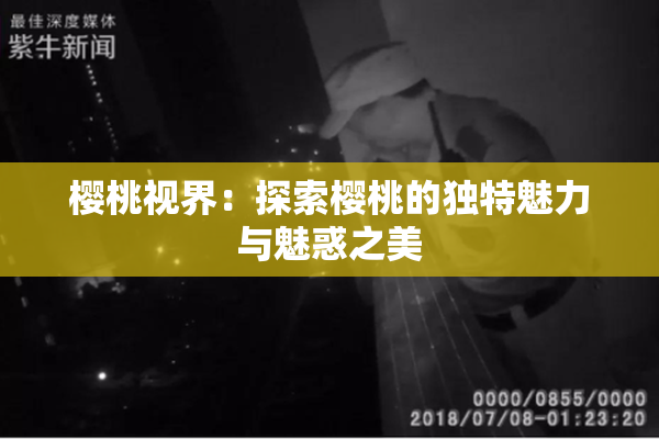 樱桃视界：探索樱桃的独特魅力与魅惑之美