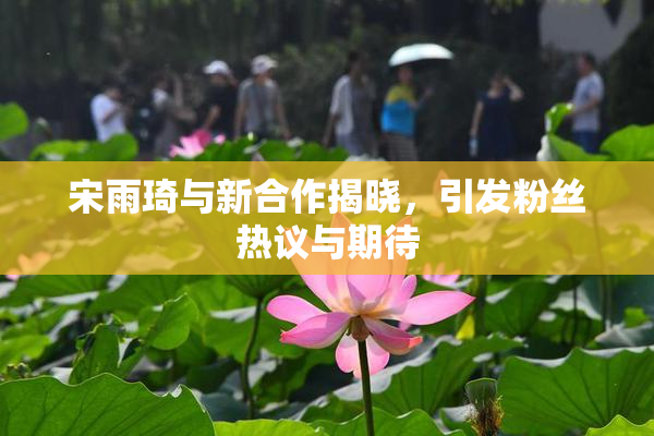 宋雨琦与新合作揭晓，引发粉丝热议与期待
