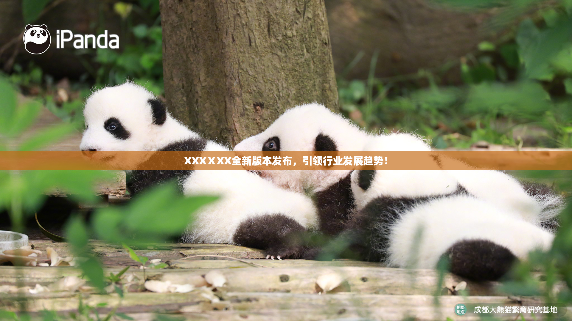 XXXⅩXX全新版本发布，引领行业发展趋势！