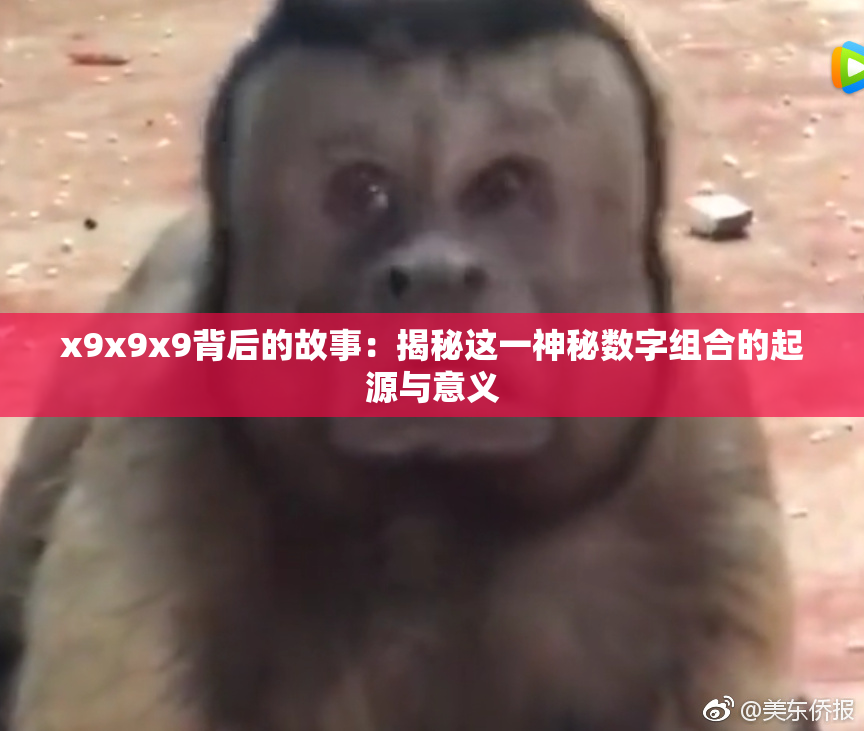 x9x9x9背后的故事：揭秘这一神秘数字组合的起源与意义