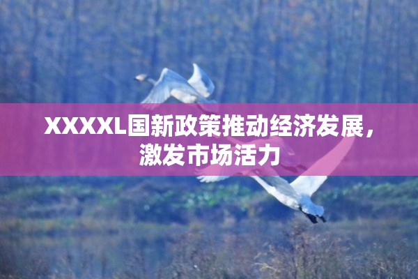XXXXL国新政策推动经济发展，激发市场活力
