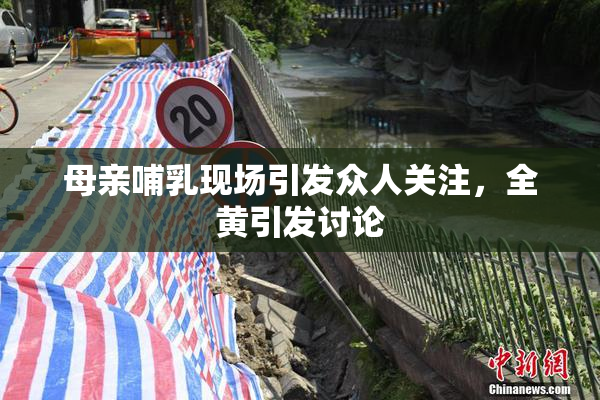 母亲哺乳现场引发众人关注，全黄引发讨论