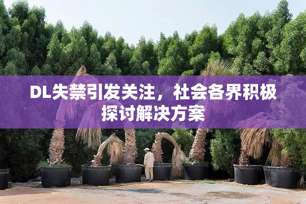 DL失禁引发关注，社会各界积极探讨解决方案