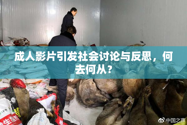 成人影片引发社会讨论与反思，何去何从？