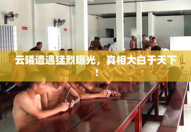 云曦遭遇猛烈曝光，真相大白于天下！