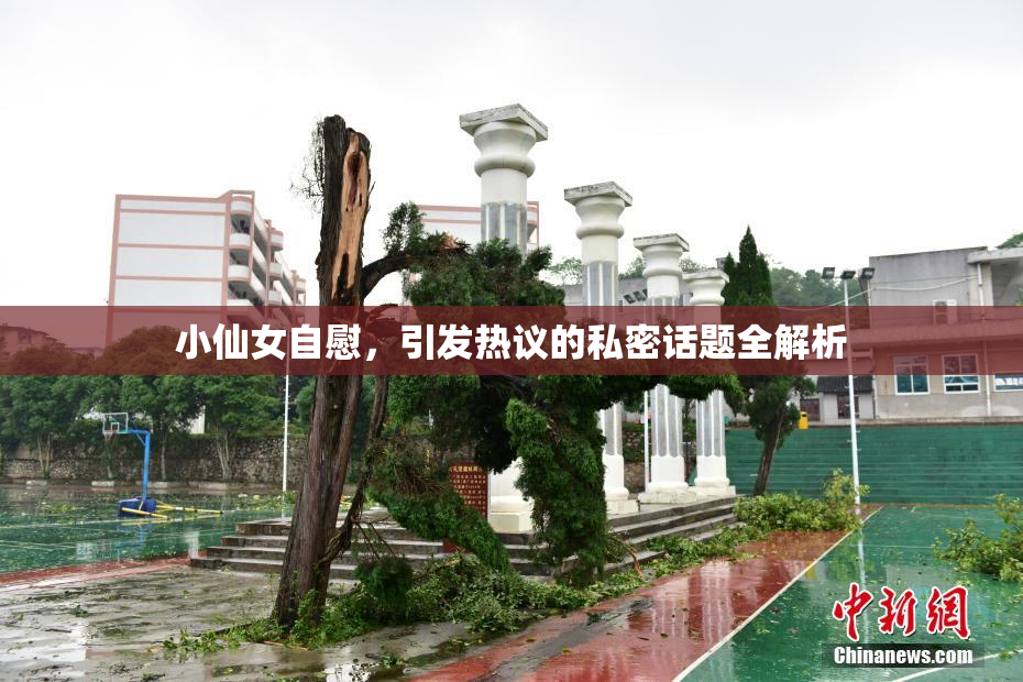 小仙女自慰，引发热议的私密话题全解析