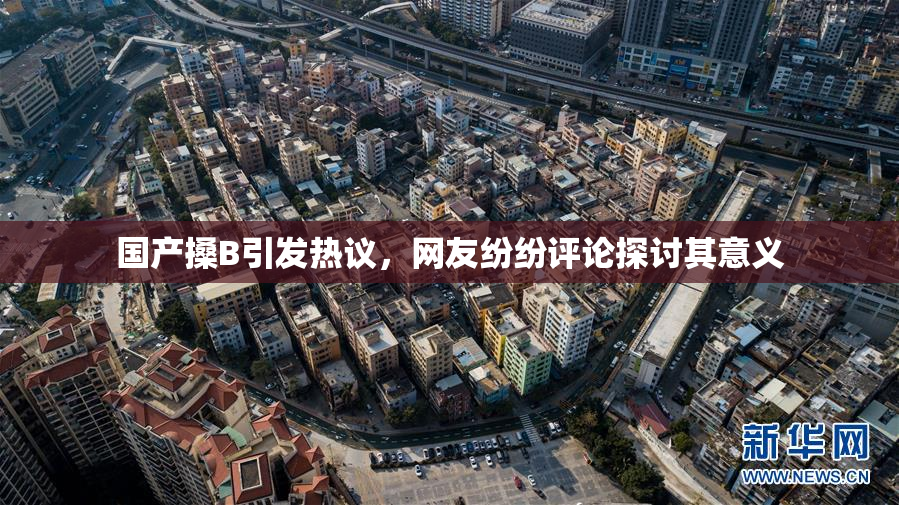 国产搡B引发热议，网友纷纷评论探讨其意义