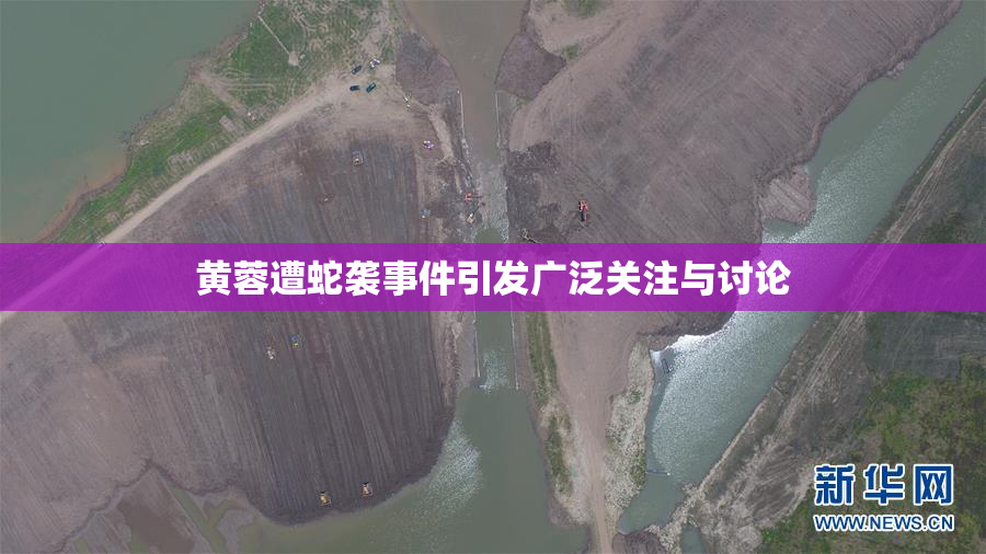 黄蓉遭蛇袭事件引发广泛关注与讨论