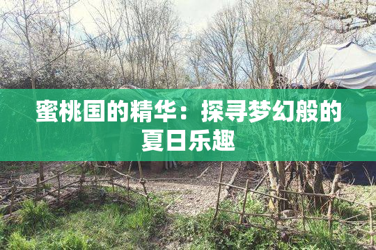蜜桃国的精华：探寻梦幻般的夏日乐趣