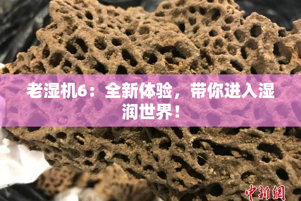 老湿机6：全新体验，带你进入湿润世界！