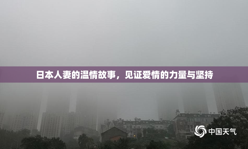 日本人妻的温情故事，见证爱情的力量与坚持