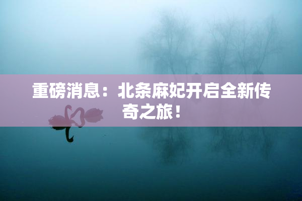 重磅消息：北条麻妃开启全新传奇之旅！