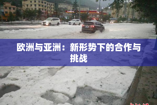 欧洲与亚洲：新形势下的合作与挑战