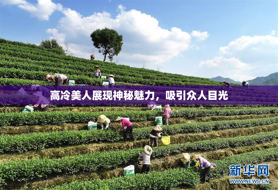 高冷美人展现神秘魅力，吸引众人目光