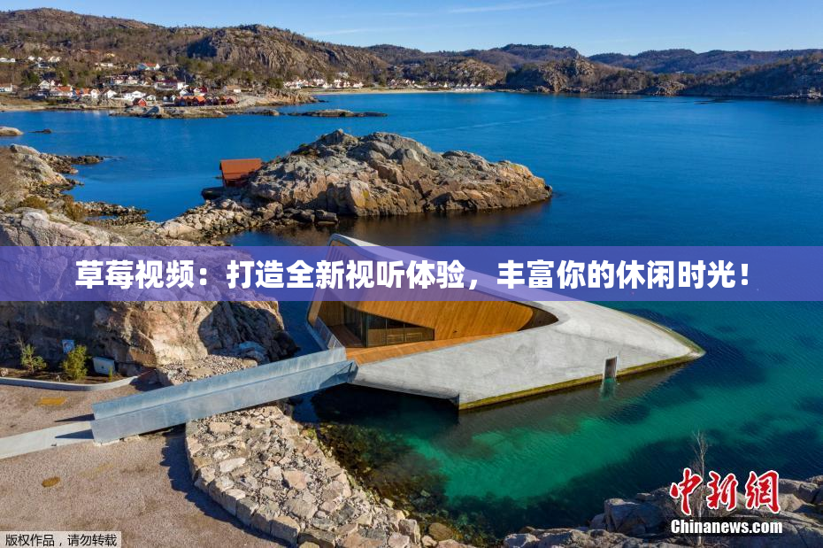 草莓视频：打造全新视听体验，丰富你的休闲时光！