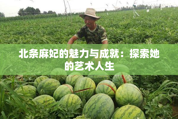 北条麻妃的魅力与成就：探索她的艺术人生