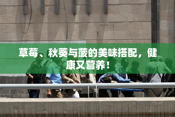 草莓、秋葵与菠的美味搭配，健康又营养！