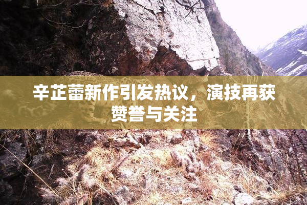 辛芷蕾新作引发热议，演技再获赞誉与关注