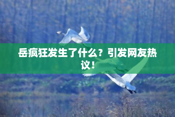 岳疯狂发生了什么？引发网友热议！