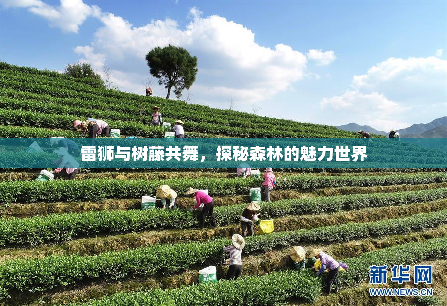 雷狮与树藤共舞，探秘森林的魅力世界