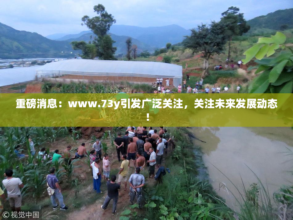 重磅消息：www.73y引发广泛关注，关注未来发展动态！