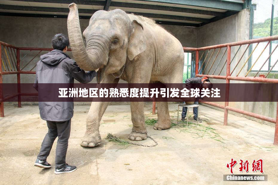 亚洲地区的熟悉度提升引发全球关注