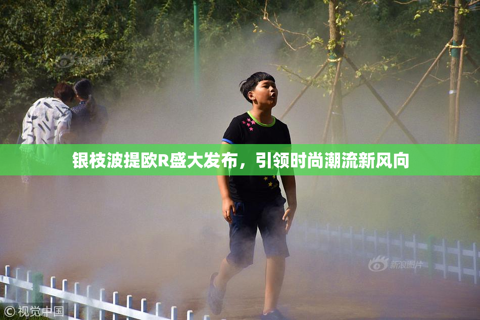 银枝波提欧R盛大发布，引领时尚潮流新风向