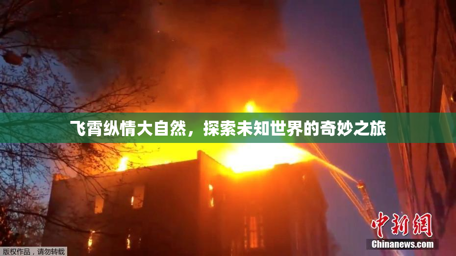 飞霄纵情大自然，探索未知世界的奇妙之旅