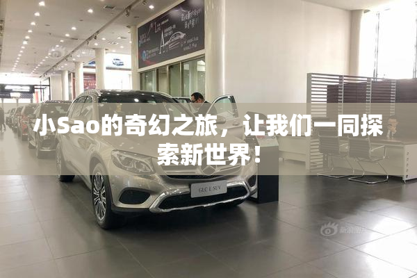 小Sao的奇幻之旅，让我们一同探索新世界！