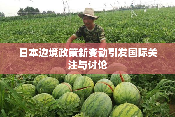 日本边境政策新变动引发国际关注与讨论