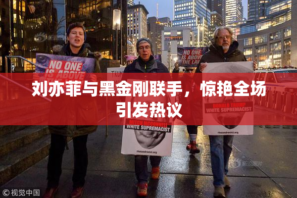 刘亦菲与黑金刚联手，惊艳全场引发热议
