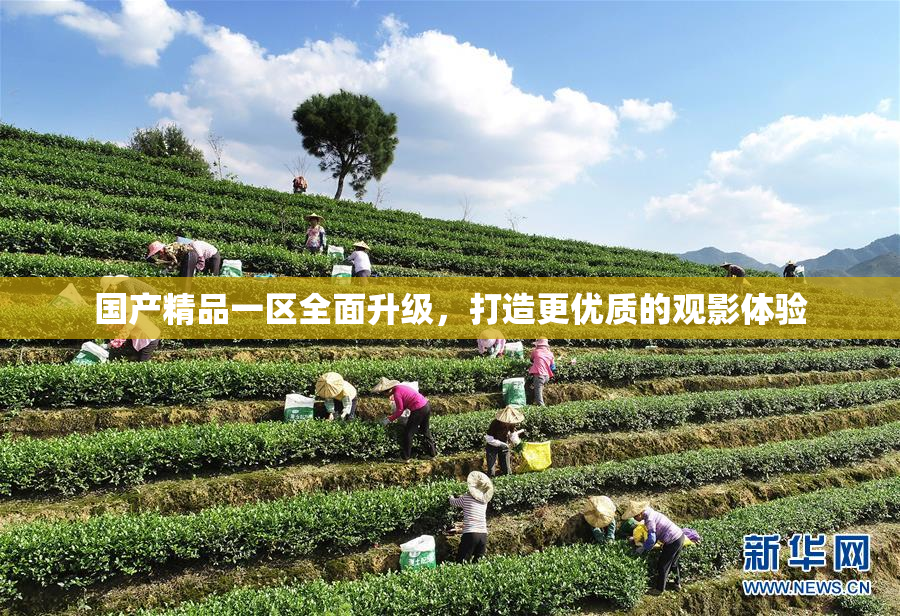 国产精品一区全面升级，打造更优质的观影体验