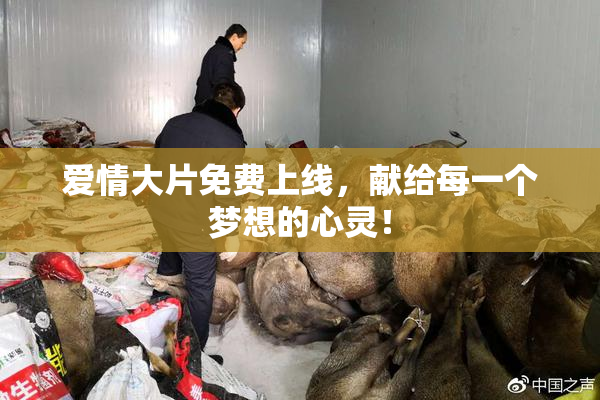 爱情大片免费上线，献给每一个梦想的心灵！
