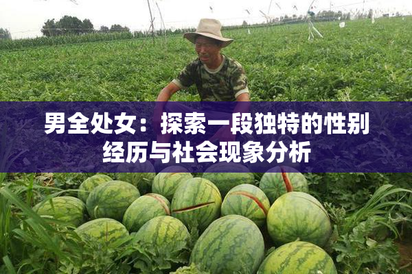 男全处女：探索一段独特的性别经历与社会现象分析