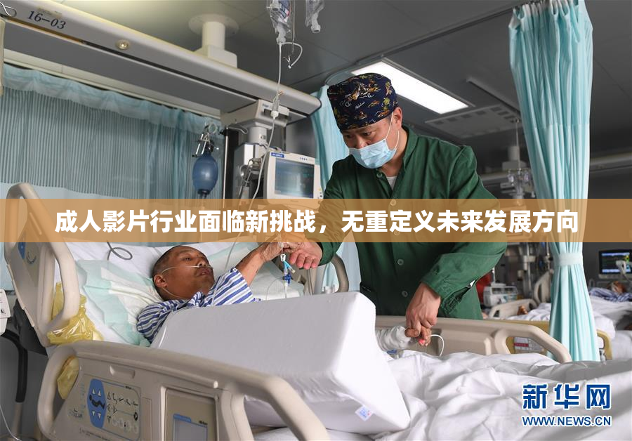 成人影片行业面临新挑战，无重定义未来发展方向