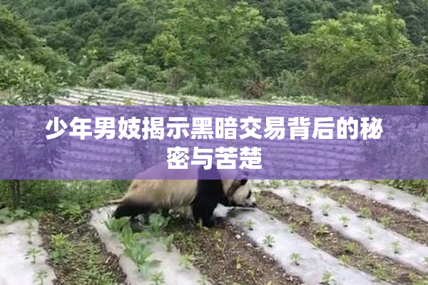 少年男妓揭示黑暗交易背后的秘密与苦楚
