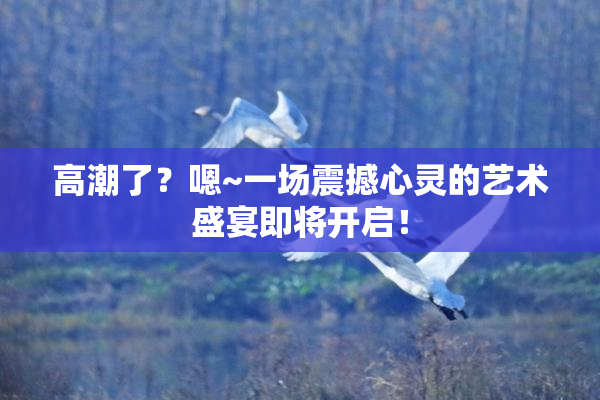 高潮了？嗯~一场震撼心灵的艺术盛宴即将开启！