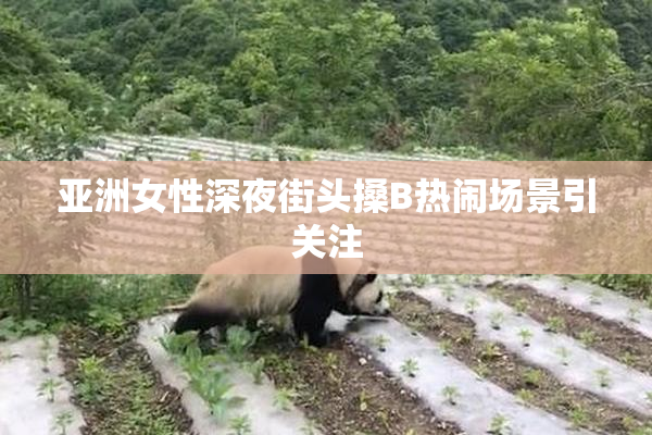 亚洲女性深夜街头搡B热闹场景引关注