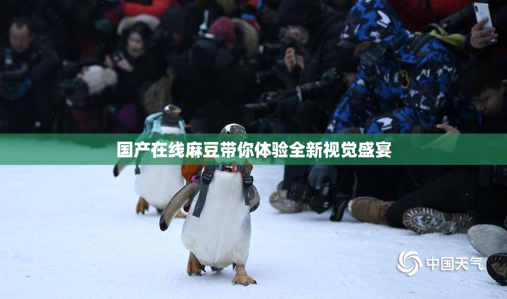国产在线麻豆带你体验全新视觉盛宴
