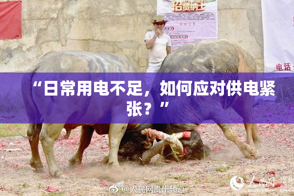 “日常用电不足，如何应对供电紧张？”