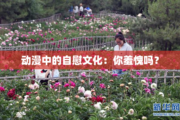 动漫中的自慰文化：你羞愧吗？