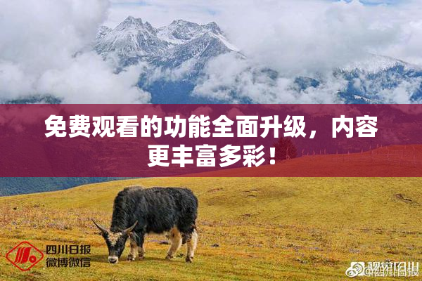 免费观看的功能全面升级，内容更丰富多彩！