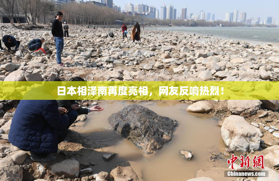 日本相泽南再度亮相，网友反响热烈！