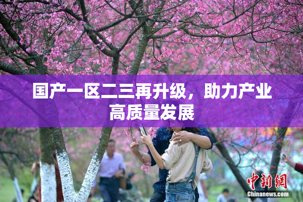 国产一区二三再升级，助力产业高质量发展