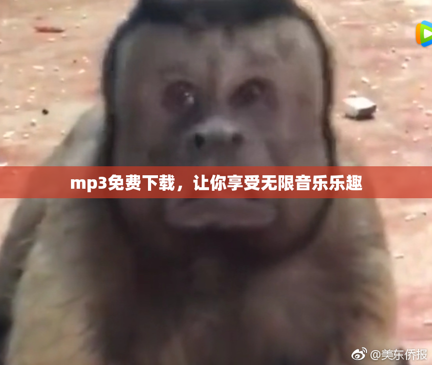 mp3免费下载，让你享受无限音乐乐趣