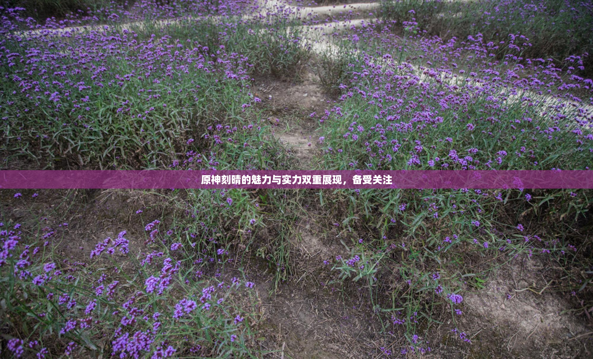 原神刻晴的魅力与实力双重展现，备受关注