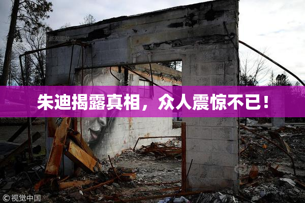 朱迪揭露真相，众人震惊不已！