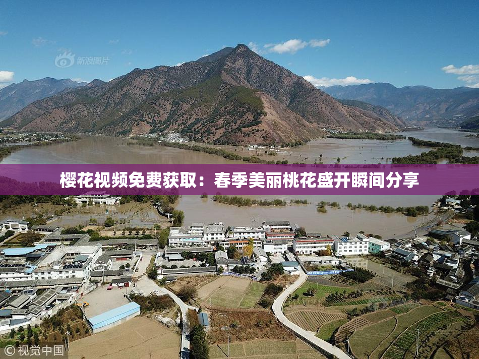 樱花视频免费获取：春季美丽桃花盛开瞬间分享