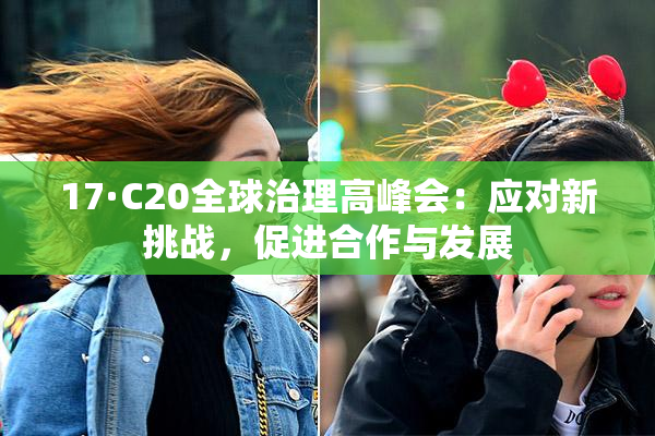 17·C20全球治理高峰会：应对新挑战，促进合作与发展
