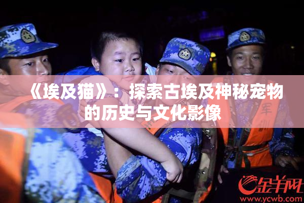 《埃及猫》：探索古埃及神秘宠物的历史与文化影像